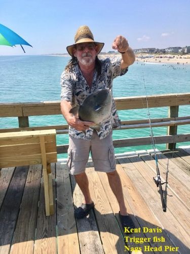 TW’s Bait & Tackle, Daily Fishing Report