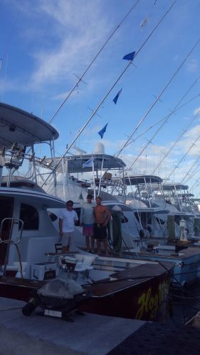 Pirate's Cove Marina, SUnday Funday..
