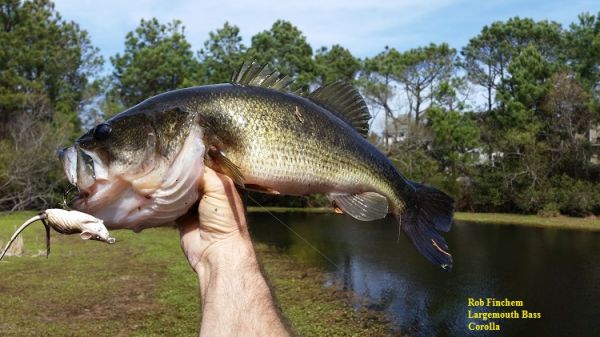 TW’s Bait & Tackle, Daily Fishing Report