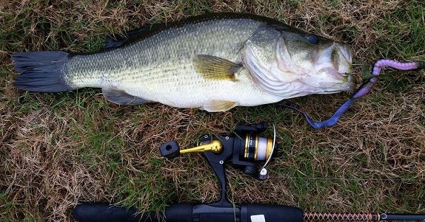 TW’s Bait & Tackle, Daily Fishing Report