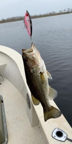 TW’s Bait & Tackle, Daily Fishing Report