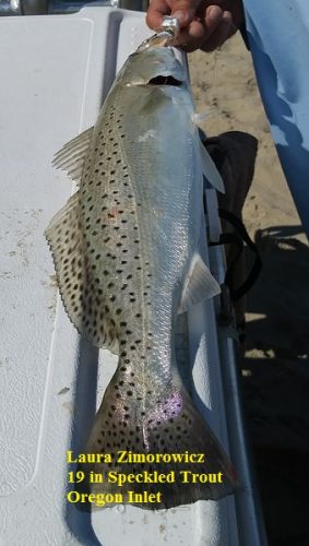 TW’s Bait & Tackle, Daily Fishing Report