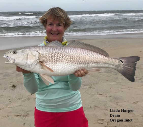 TW’s Bait & Tackle, Daily Fishing Report