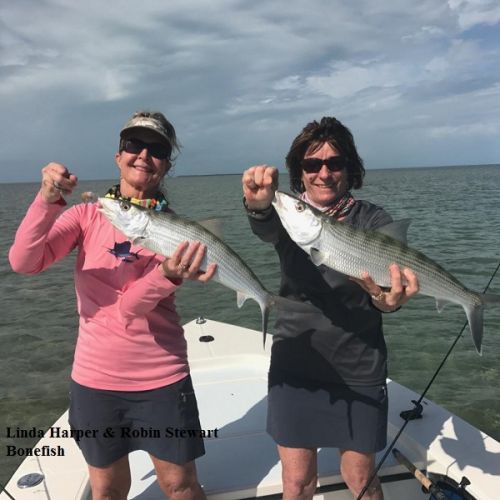 TW’s Bait & Tackle, Daily Fishing Report