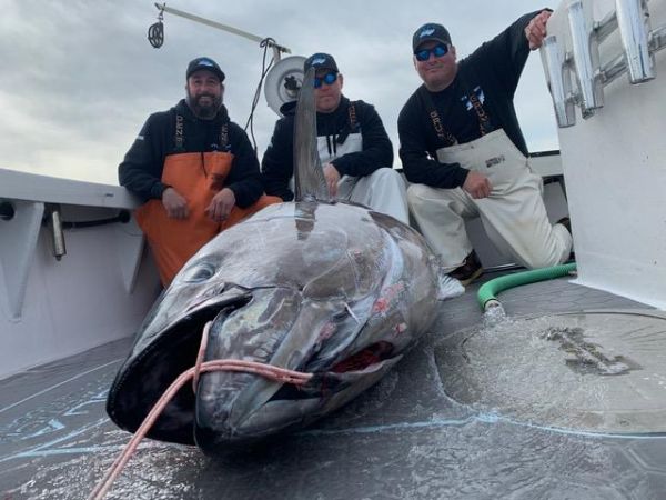 OBX Bait & Tackle Corolla Outer Banks, Corolla Fish Report