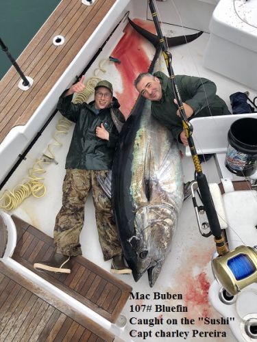 TW’s Bait & Tackle, Daily Fishing Report