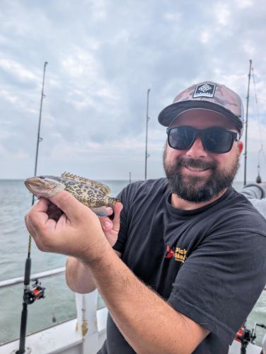 Miss Oregon Inlet II Head Boat Fishing, Rare Fish!