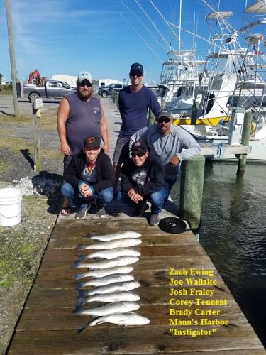 TW’s Bait & Tackle, Daily Fishing Report