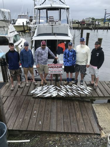 Wanchese Marina, Great Fishing out of Wanchese Marina
