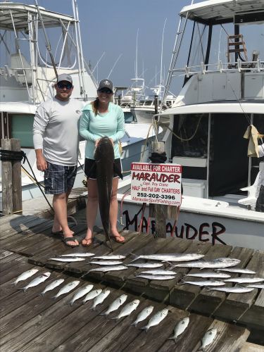 Wanchese Marina, Cobia Citation Week at Wanchese Marina