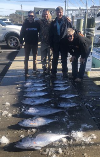 Bite Me Sportfishing Charters, Tuna! Slick calm and sunny