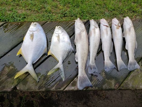 Dillon's Corner, 09/29 Fishing Report