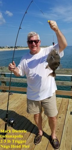 TW’s Bait & Tackle, Daily Fishing Report