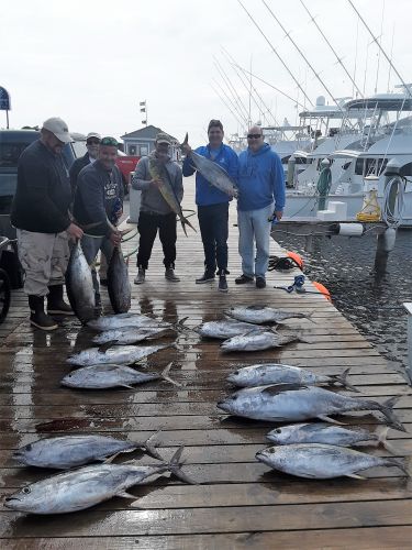 Pirate's Cove Marina, Rough Seas?  Fish Don't Care!