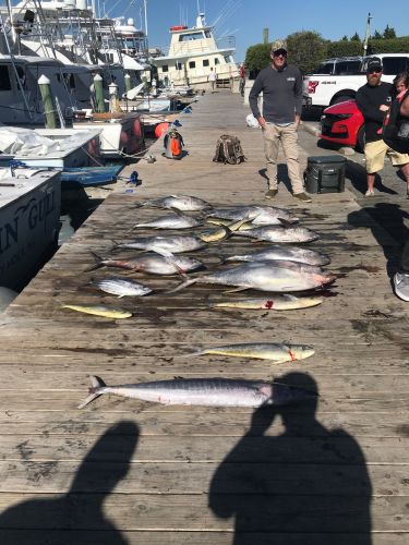 Pirate's Cove Marina, Meat Slam!