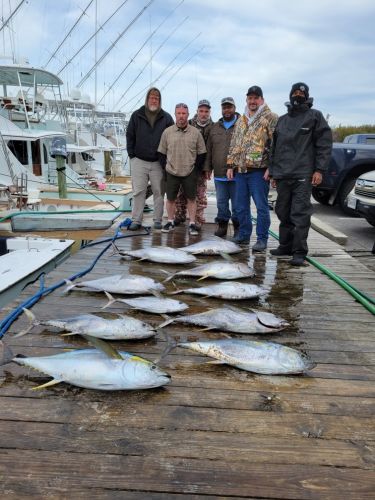 Pirate's Cove Marina, Tuna Please