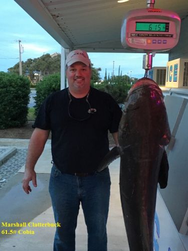 TW’s Bait & Tackle, Daily Fishing Report