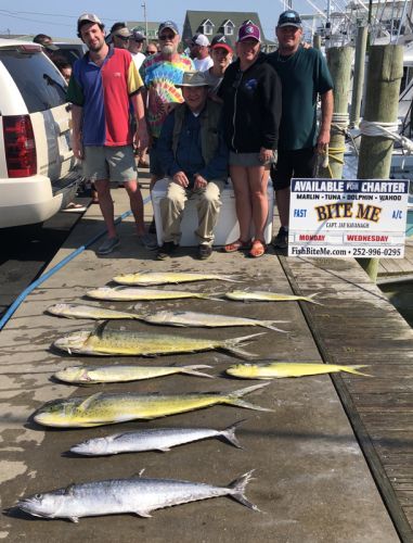 Bite Me Sportfishing Charters, Dolphins and Kings
