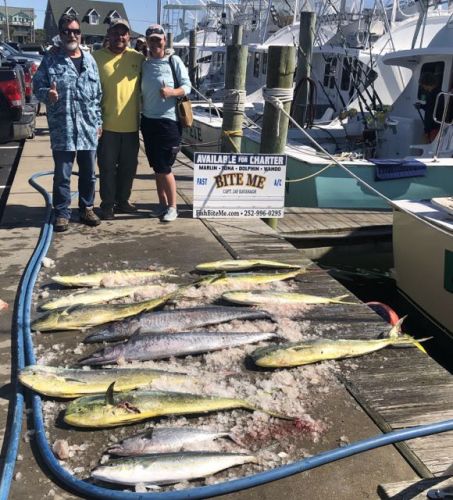 Bite Me Sportfishing Charters, Wahoo Dolphin and cobia huntin!