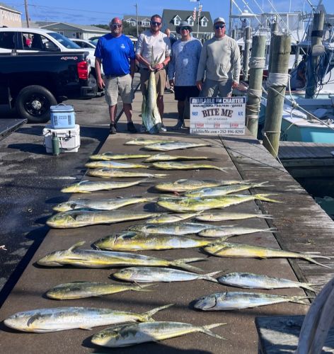 Bite Me Sportfishing Charters, Dolphin!