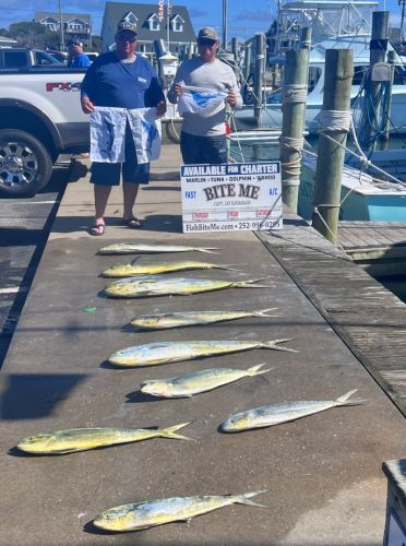 Bite Me Sportfishing Charters, Blue Marlin, 2 Sailfish and a mess of dolphin