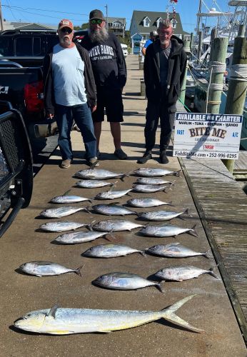 Bite Me Sportfishing Charters, Tuna and a dolphin