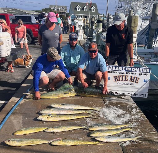 Bite Me Sportfishing Charters, Dolphin