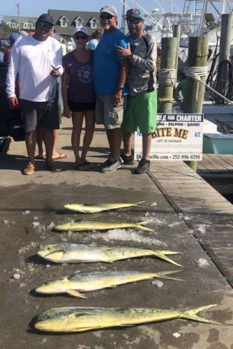 Bite Me Sportfishing Charters, Looking a Blue Marlin