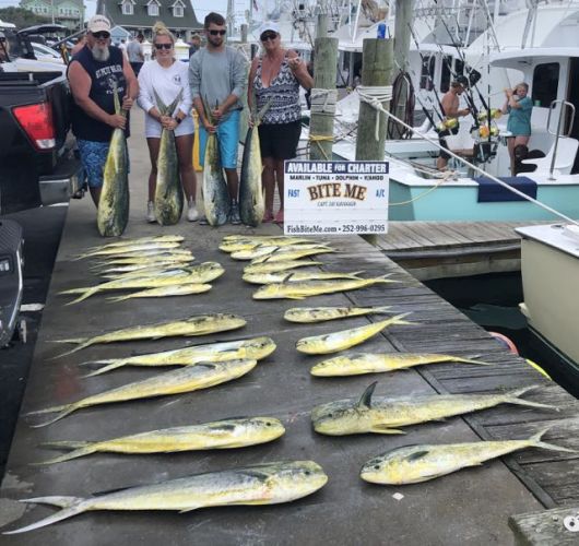 Bite Me Sportfishing Charters, Good Dolphin Fishing - Gaffers