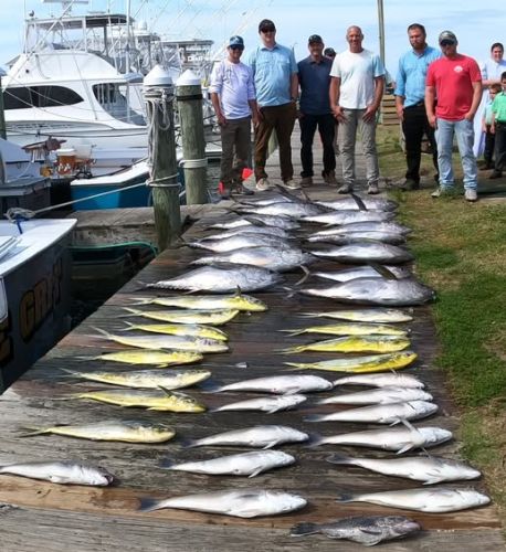 True Grit Sportfishing, Great Wednesday