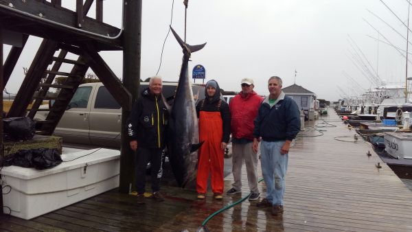 Pirate's Cove Marina, Tuna!
