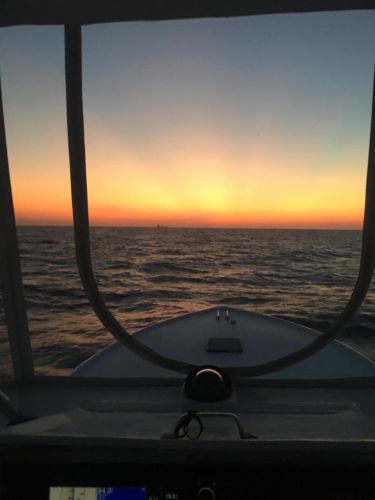 OBX Bait & Tackle Corolla Outer Banks, Corolla Fish Report