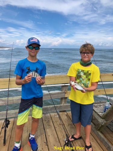 TW’s Bait & Tackle, Daily Fishing Report