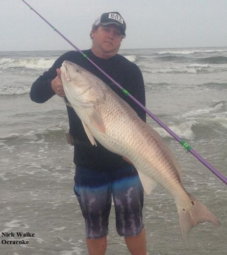 TW’s Bait & Tackle, Daily Fishing Report