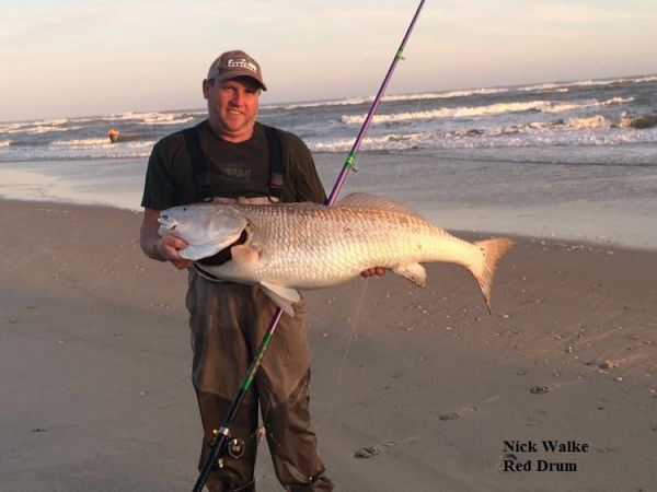 TW’s Bait & Tackle, Daily Fishing Report