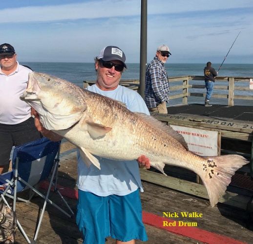 TW’s Bait & Tackle, Daily Fishing Report