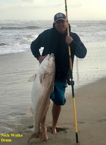 TW’s Bait & Tackle, Daily Fishing Report