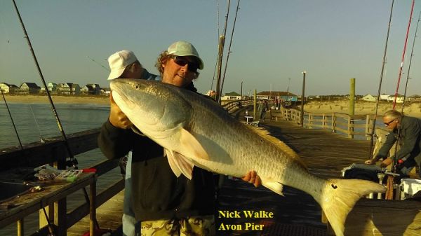 TW’s Bait & Tackle, Daily Fishing Report