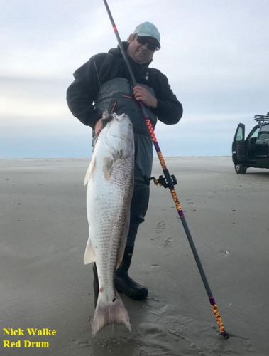 TW’s Bait & Tackle, Daily Fishing Report