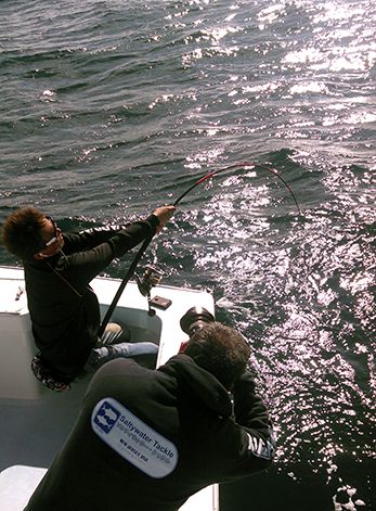 Tuna Duck Sportfishing, 90 Inch Bluefin Released