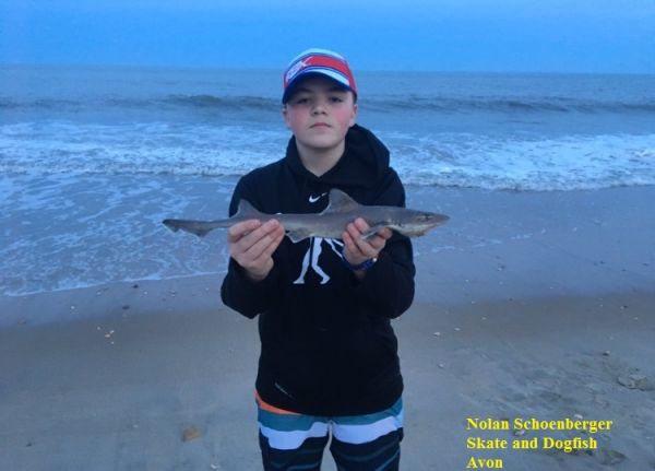 TW’s Bait & Tackle, Daily Fishing Report