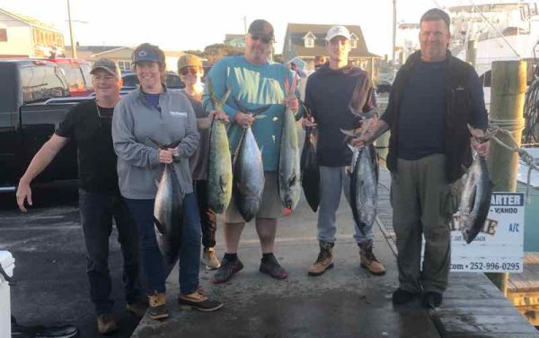 Bite Me Sportfishing Charters, Tunas and Dolphin