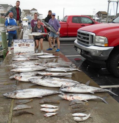 Bite Me Sportfishing Charters, Live Bait Action