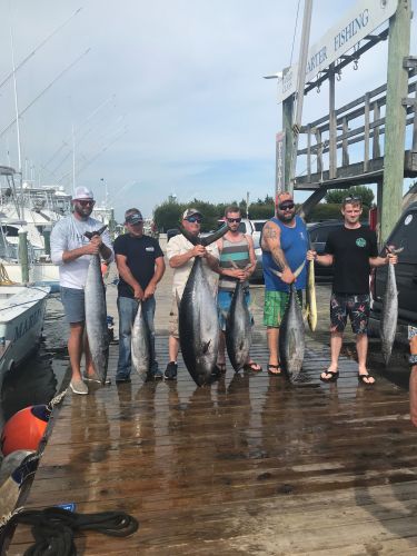 Pirate's Cove Marina, Tuna Time!