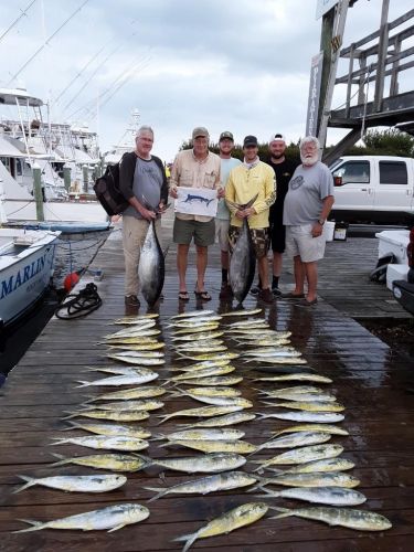Pirate's Cove Marina, Friday Fins!