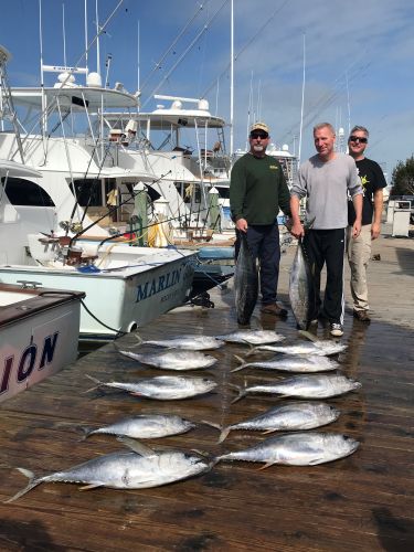 Pirate's Cove Marina, Yellowfin Fever and a Pamilico Slam!