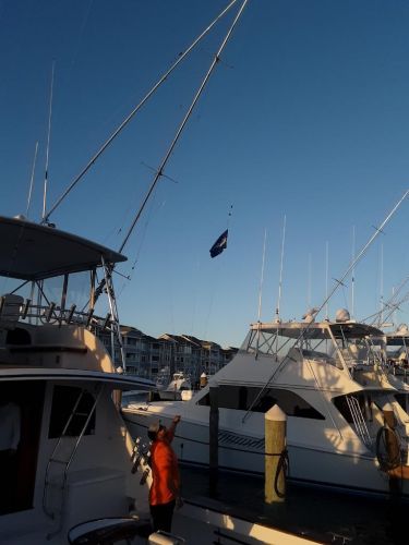 Pirate's Cove Marina, Gone Fishin’