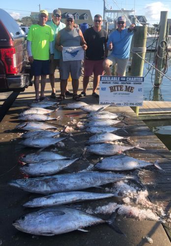 Bite Me Sportfishing Charters, Meat and a sail