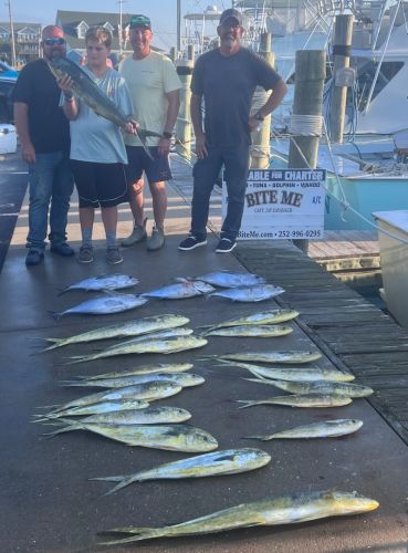 Bite Me Sportfishing Charters, Dolphins and Tunas