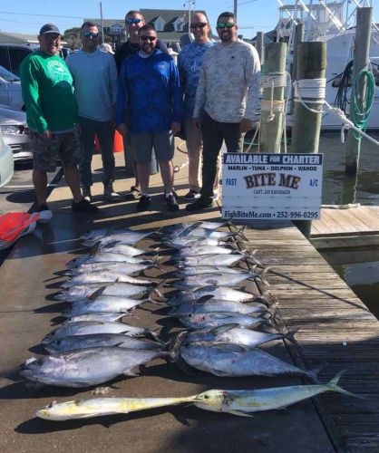 Bite Me Sportfishing Charters, tuna action continues with a couple of dolphin